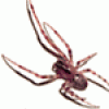 gry po polsku www.downloaduj.pl
